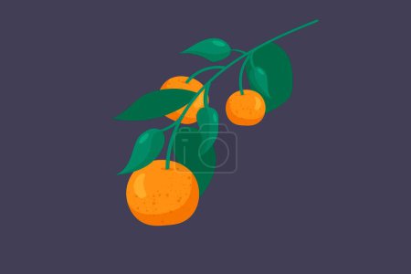 Flache Vektordarstellung von Mandarinen auf einem von Hand gezeichneten Zweig