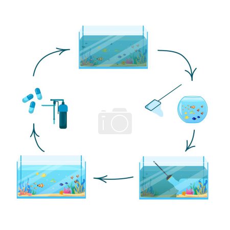 Téléchargez les photos : Aquarium rectangulaire avec de l'eau douce sale et propre. Étapes du nettoyage d'un aquarium. Plat, dessin animé, vecteur - en image libre de droit