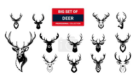 Illustration for Collection of silhouettes of wild animals - the deer family - Royalty Free Image