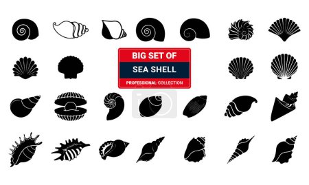 Illustration for Seashells vector set. Hand drawn illustrations of engraved line. Collection of realistic sketches various mollusk sea shells different forms. - Royalty Free Image