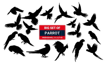 Téléchargez les illustrations : Silhouettes vectorielles de perroquet de jungle amazonienne isolées sur fond blanc - en licence libre de droit