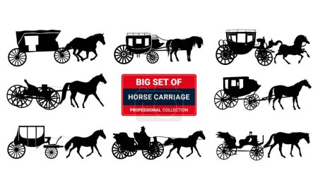 Illustration for Set of vector horse-drawn vehicle. Vector illustration - Royalty Free Image