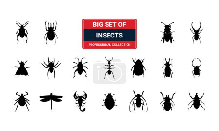 Illustration for Insect collection - vector silhouette - Royalty Free Image