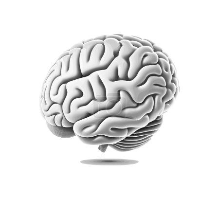 Ilustración de Cerebro gris. Diseño de ilustración vectorial. - Imagen libre de derechos