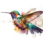 Hummingbird watercolor. Vector illustration desing.
