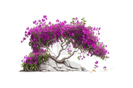 Illustration for Purple Bougainvillea tropical flower bush climbing. Vector illustration desing. - Royalty Free Image