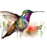 Hummingbird watercolor. Vector illustration desing.