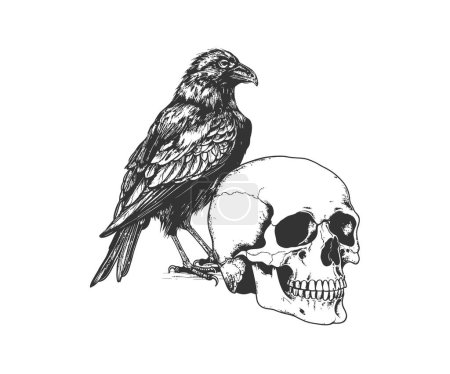 Corbeau assis sur un crâne humain croquis dessiné à la main. Illustration vectorielle.
