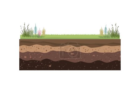 Boden oder unterirdische Schichten, Grasboden und Gehör. Vektor-Illustrationsdesign.