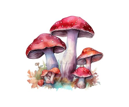 Mushrooms. Hand drawn watercolor. Vector illustration design.