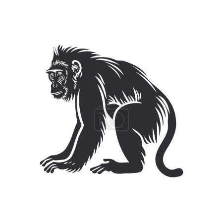 Singe capucin silhouette icône de singe. Illustration vectorielle.