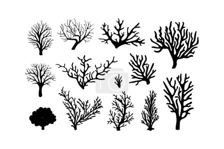 Vielzahl von Black Coral Silhouette Graphiken. Vektor-Illustrationsdesign.
