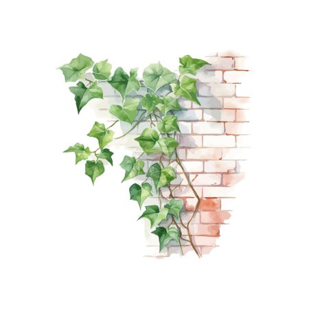 Illustration for Climbing Ivy on Brick Wall Watercolor Painting. Vector illustration design. - Royalty Free Image