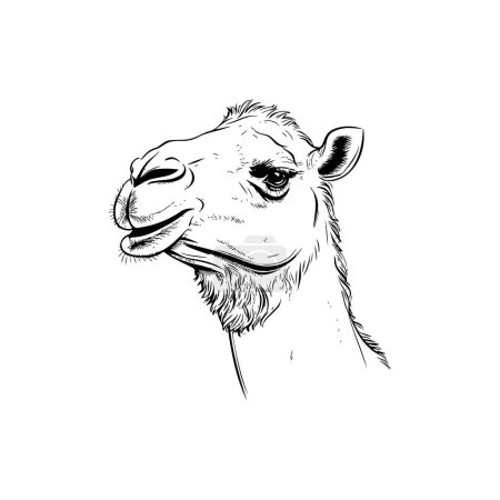 Handgezeichnete Kamelporträtskizze. Vektor-Illustrationsdesign