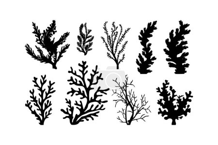 Set of Coral Silhouettes in Black. Vector illustration design.