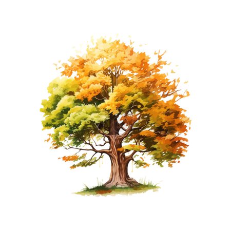 Autumnal Watercolor Tree Artwork. Vector illustration design.