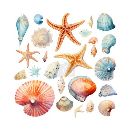 Téléchargez les illustrations : Aquarelle Collection coquillages de mer et étoiles de mer. Illustration vectorielle. - en licence libre de droit