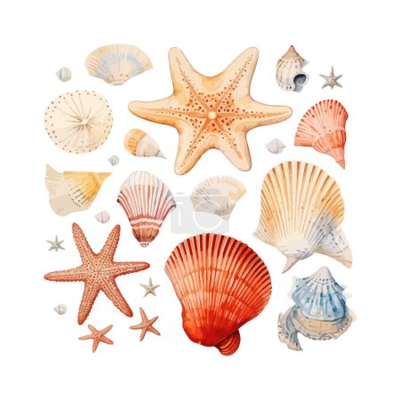 Assorted Watercolor Seashells and Starfish. Vector illustration design.