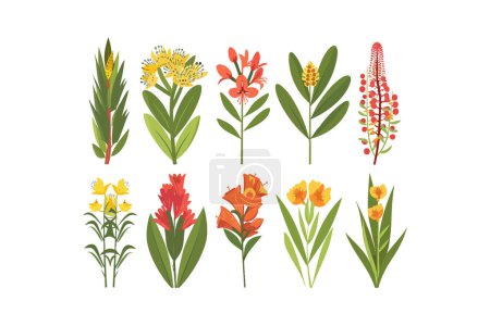 Colección de flores silvestres de colores. Diseño de ilustración vectorial.