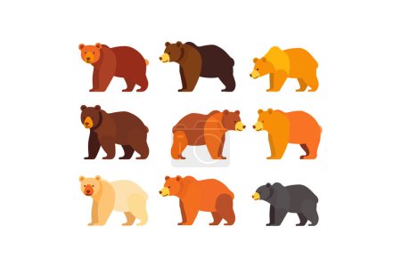 Illustration for Colorful Cartoon Bears in Various Poses. Vector illustration design. - Royalty Free Image