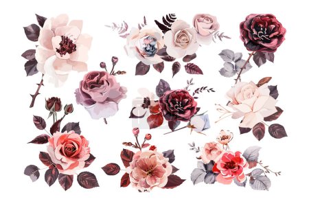 Roses artistiques et éléments floraux dans des tons sourds. Illustration vectorielle.