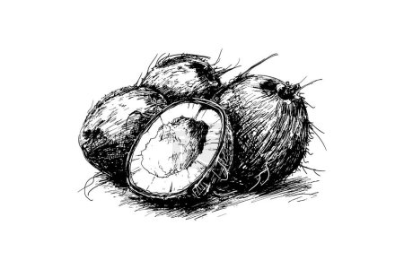 Ilustración de Dibujo en blanco y negro de cocos cortado abierto. Diseño de ilustración vectorial. - Imagen libre de derechos