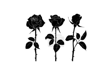 Ilustración de Siluetas de rosa negra con diferentes flores. Diseño de ilustración vectorial. - Imagen libre de derechos