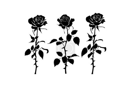 Ilustración de Trío de Black Rose Silhouette. Diseño de ilustración vectorial. - Imagen libre de derechos