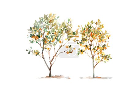 Ilustración de Acuarela Pintura de árboles gemelos en otoño. Diseño de ilustración vectorial. - Imagen libre de derechos