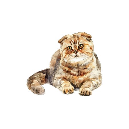 Illustration for Watercolor Scottish Fold Cat Painting. Vector illustration design. - Royalty Free Image