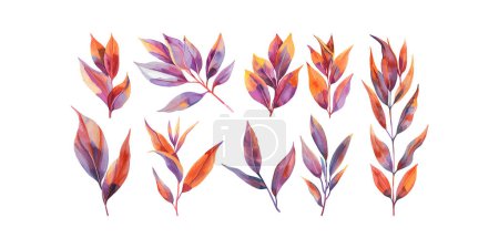 Ilustración de Conjunto de hojas de acuarela otoñales. Diseño de ilustración vectorial. - Imagen libre de derechos