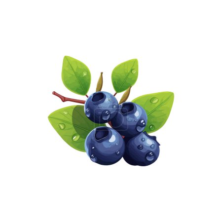 Fresh Blueberries with Dewdrops Digital Art. Vector illustration design.