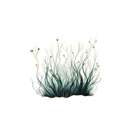 Illustration élégante Seagrass sur fond blanc. Illustration vectorielle.