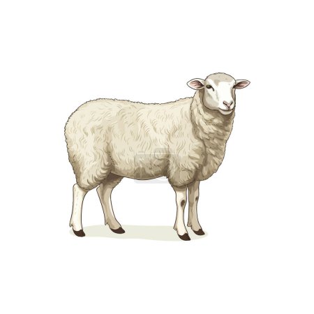 Ilustración realista de ovejas de pie solo. Diseño de ilustración vectorial.