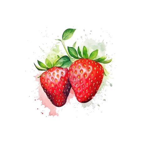 Ripe Strawberries with Green Leaves Watercolor. Vector illustration design.