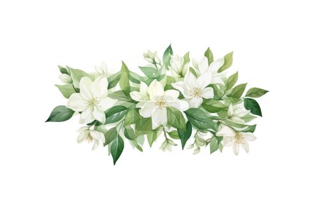 Arrangement aquarelle florale blanche. Illustration vectorielle.