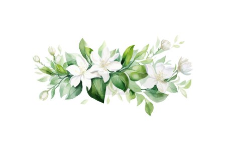 Elegante Acuarela Floral Blanca Arreglo. Diseño de ilustración vectorial.