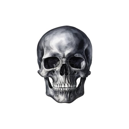 Realistic Watercolor Human Skull Art. Vector illustration design.