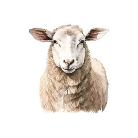Watercolor portrait of a sheep with fluffy wool. Vector illustration design.