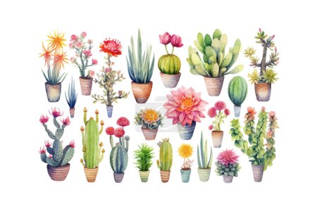 Watercolor arrangement of potted succulents and cacti. Vector illustration design.