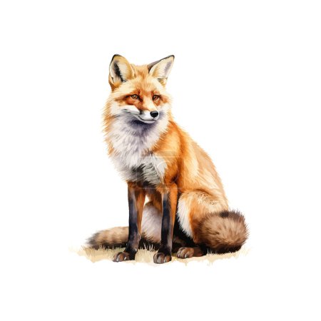 Realistic Illustration of a Sitting Fox. Vector illustration design.