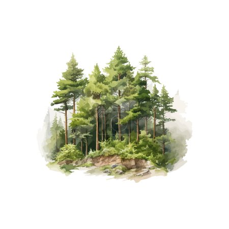 Detailed Forest Clearing Watercolor Art. Vector illustration design.