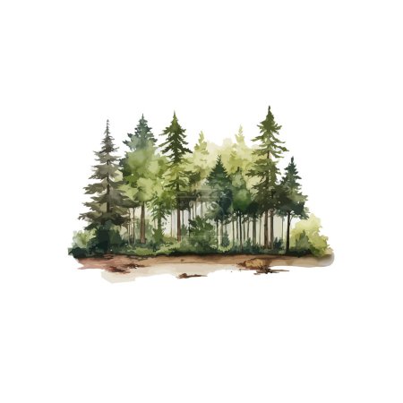 Watercolor Painting of a Dense Forest Scene. Vector illustration design.