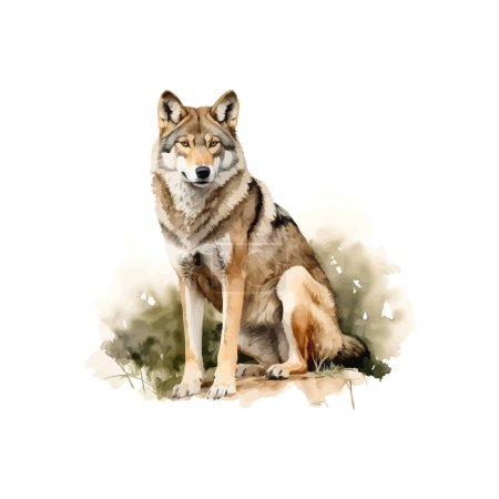 Watercolor Portrait of a Seated Wolf in Nature. Vector illustration design.