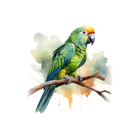 Colorful Parrot on Branch in Watercolor Style. Vector illustration design.