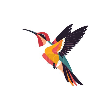 Colorful Abstract Hummingbird in Mid-Flight. Vector illustration design.