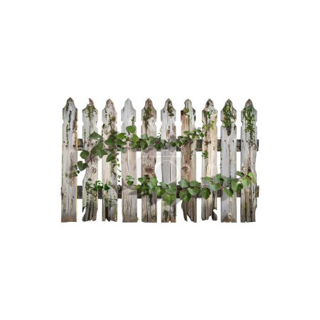 Rustic Wooden Fence Overgrown with Green Vines. Vector illustration design.