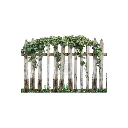Weathered Wooden Fence with Overgrown Greenery. Vector illustration design.