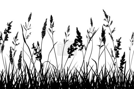 Silhouette of Wild Grass and Floral Shapes. Vector illustration design.