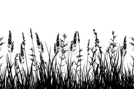 Téléchargez les illustrations : Silhouette de l'herbe sauvage et des plantes en fleurs. Illustration vectorielle. - en licence libre de droit
